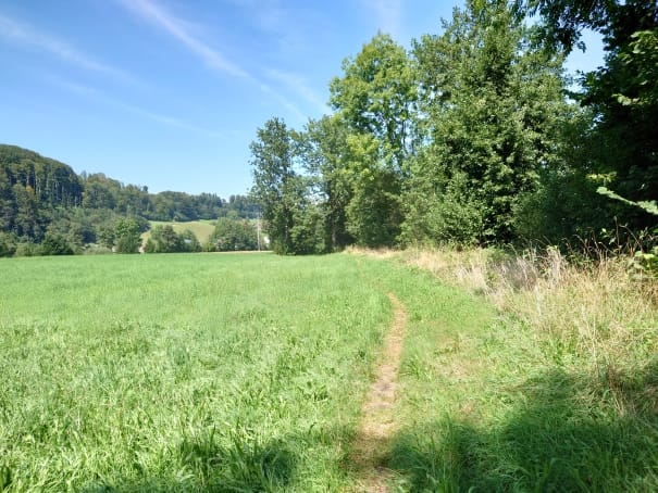 MTB-Tour  Dornegggütsch Madiswil Thunstetten  19.08.2024