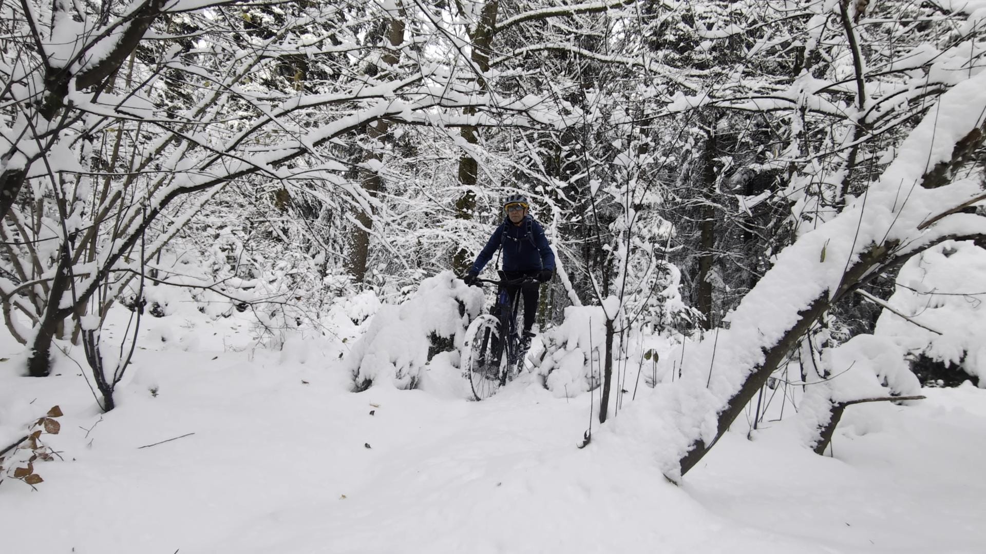 MTB-Tour  Rund um Langenthal 22.11.2024