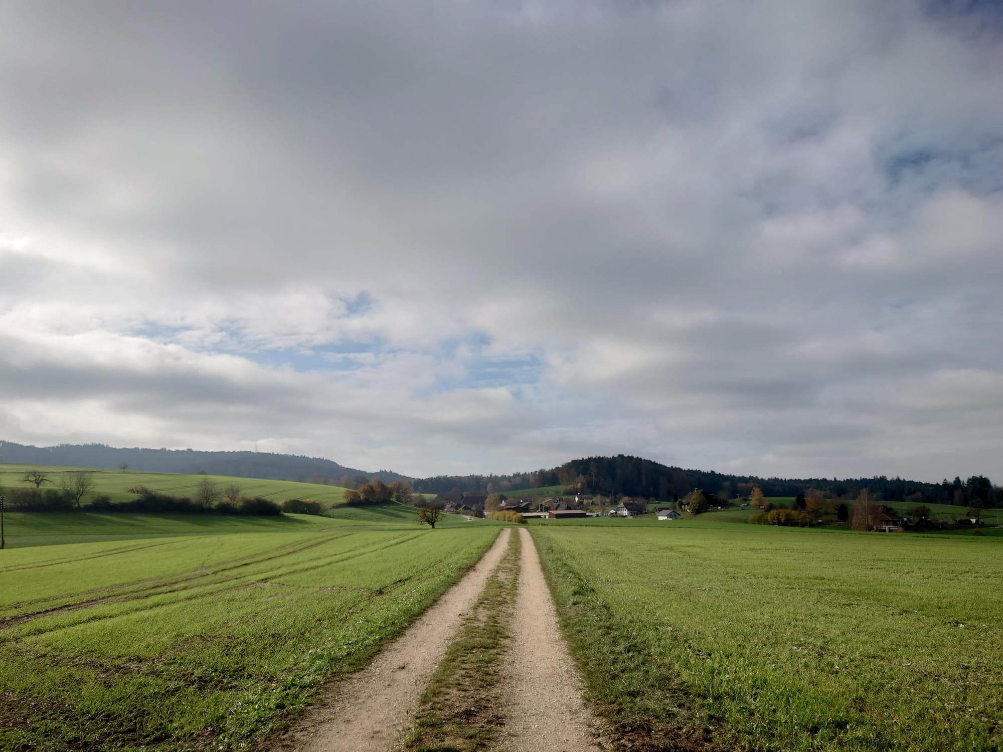 MTB-Tour  Rütschelen, Lotzwil, Roggwil  14.11.2024