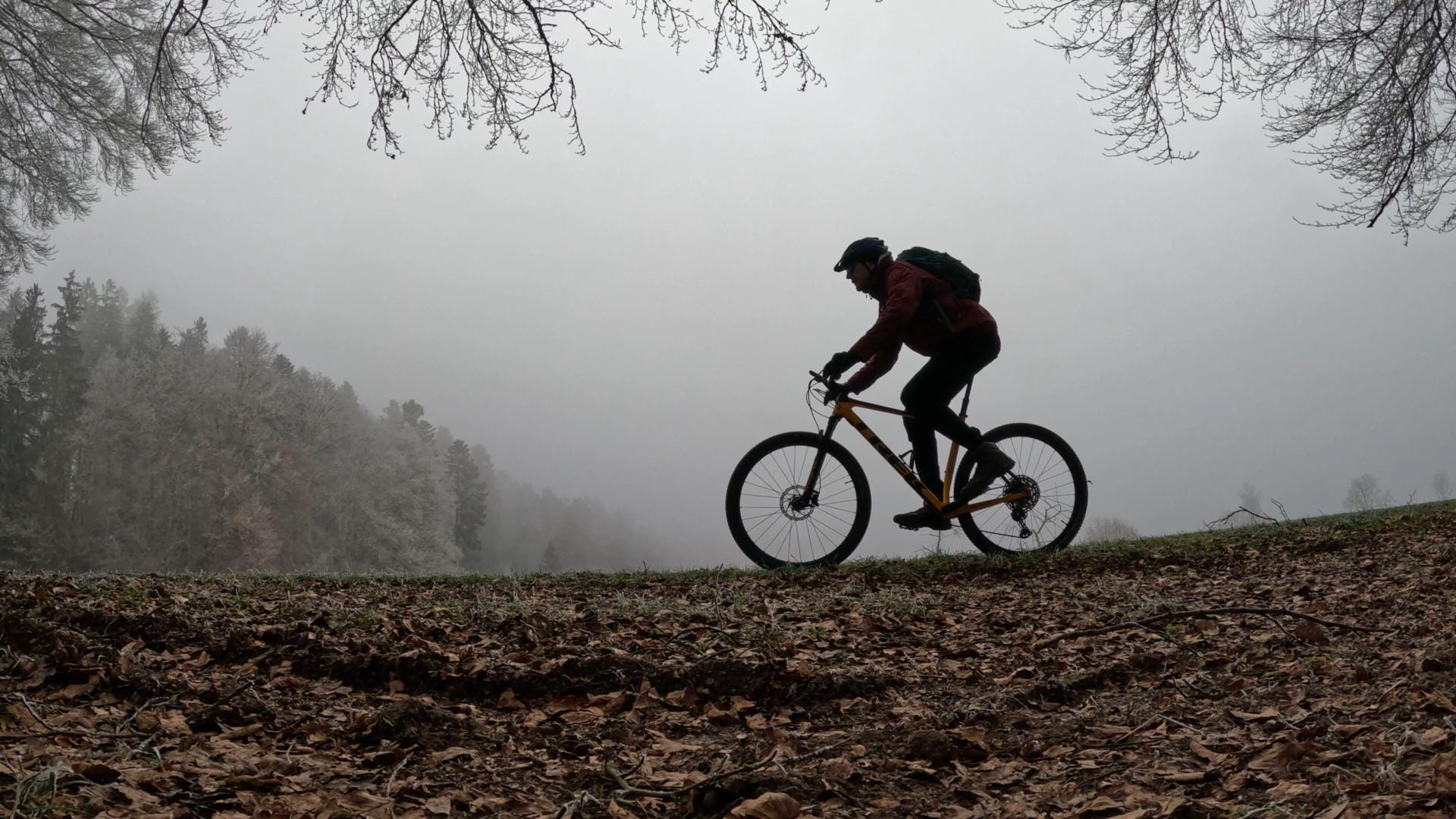 MTB-Tour  Gütsch Madiswil  19.01.2025