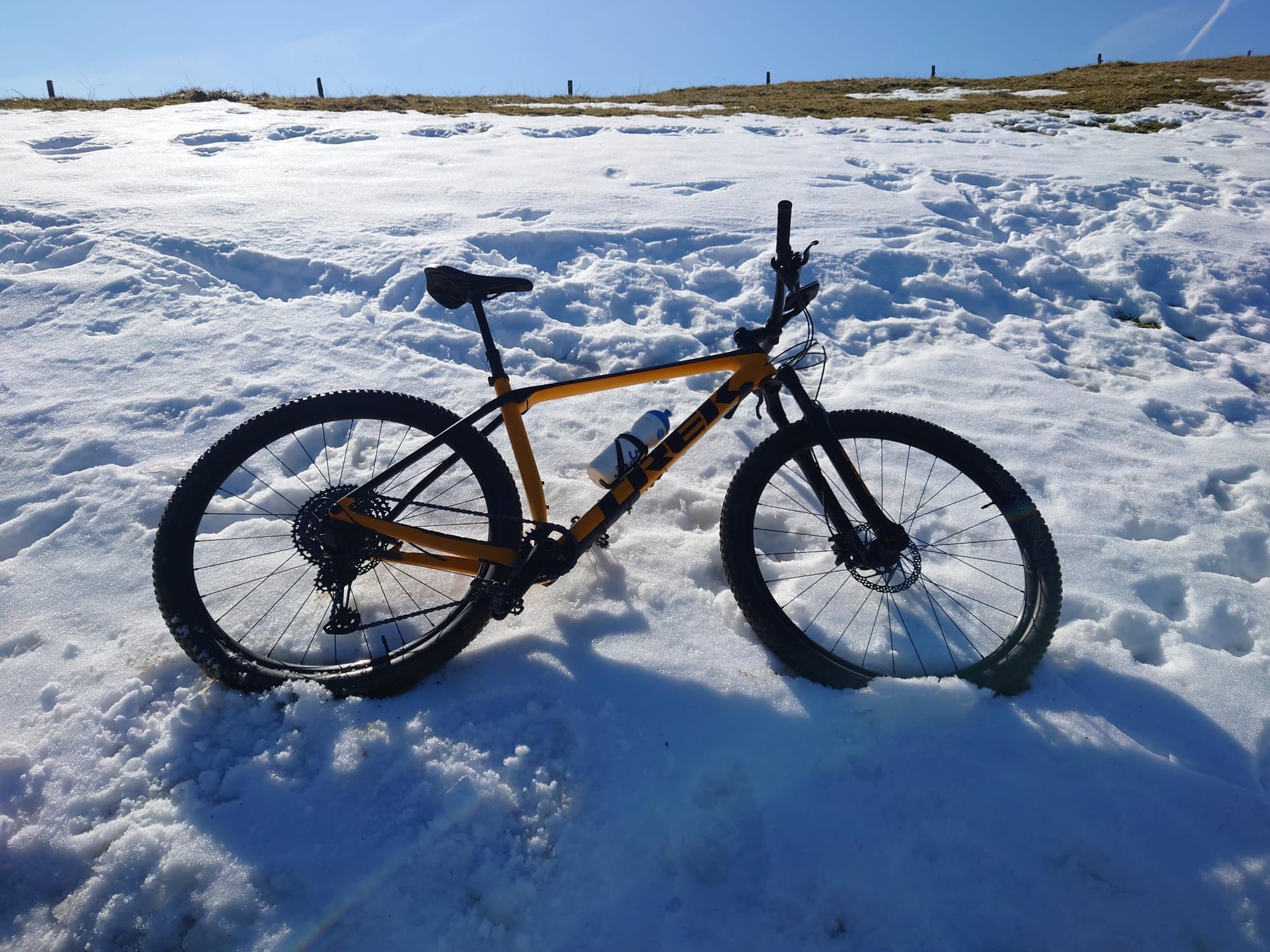 MTB-Tour  Ahorn Alp, Brestenegg  06.03.2025