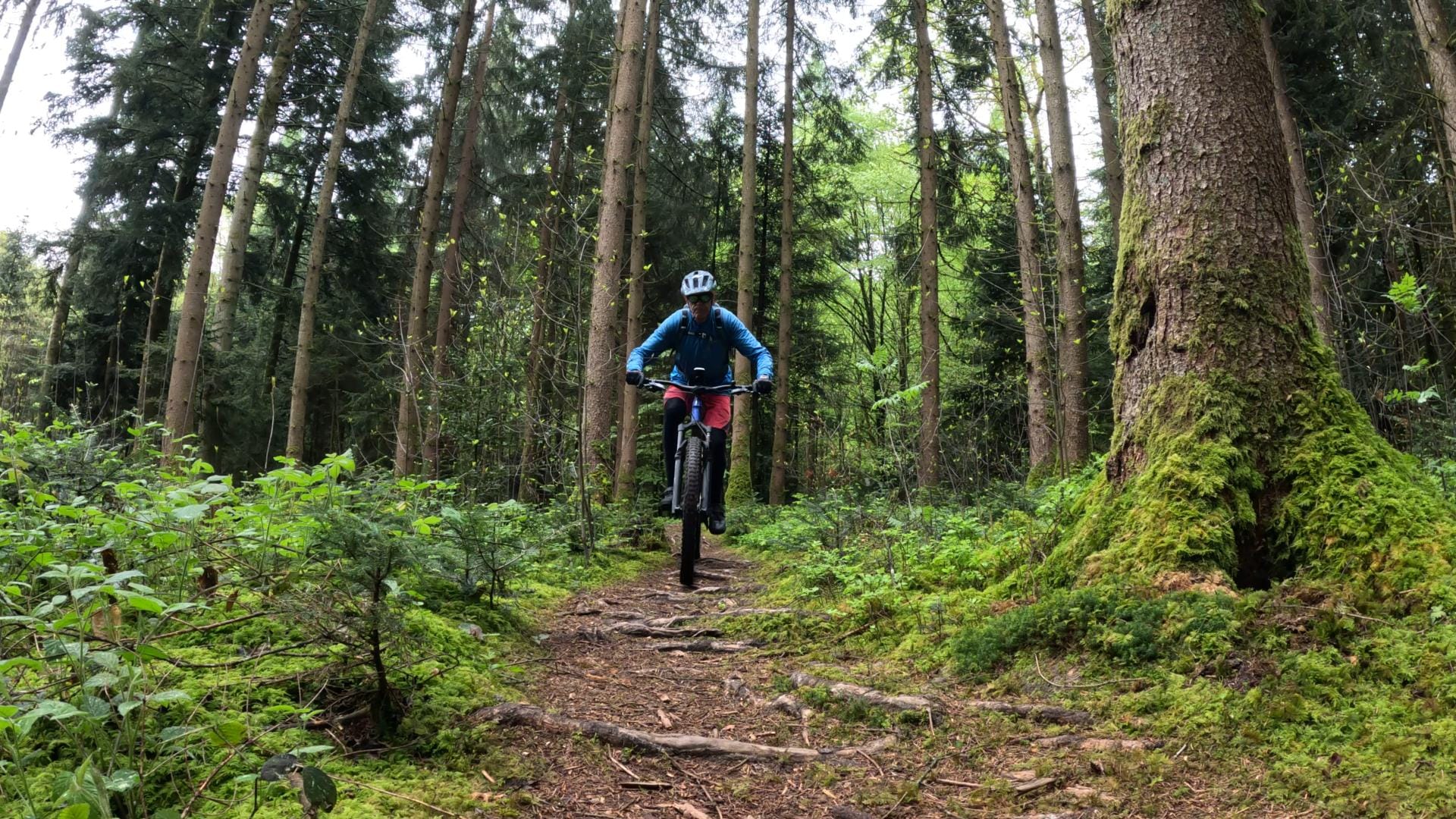 MTB-Tour Wynau, Walliswil, Balzenwil, St.Urban 24.04.2025