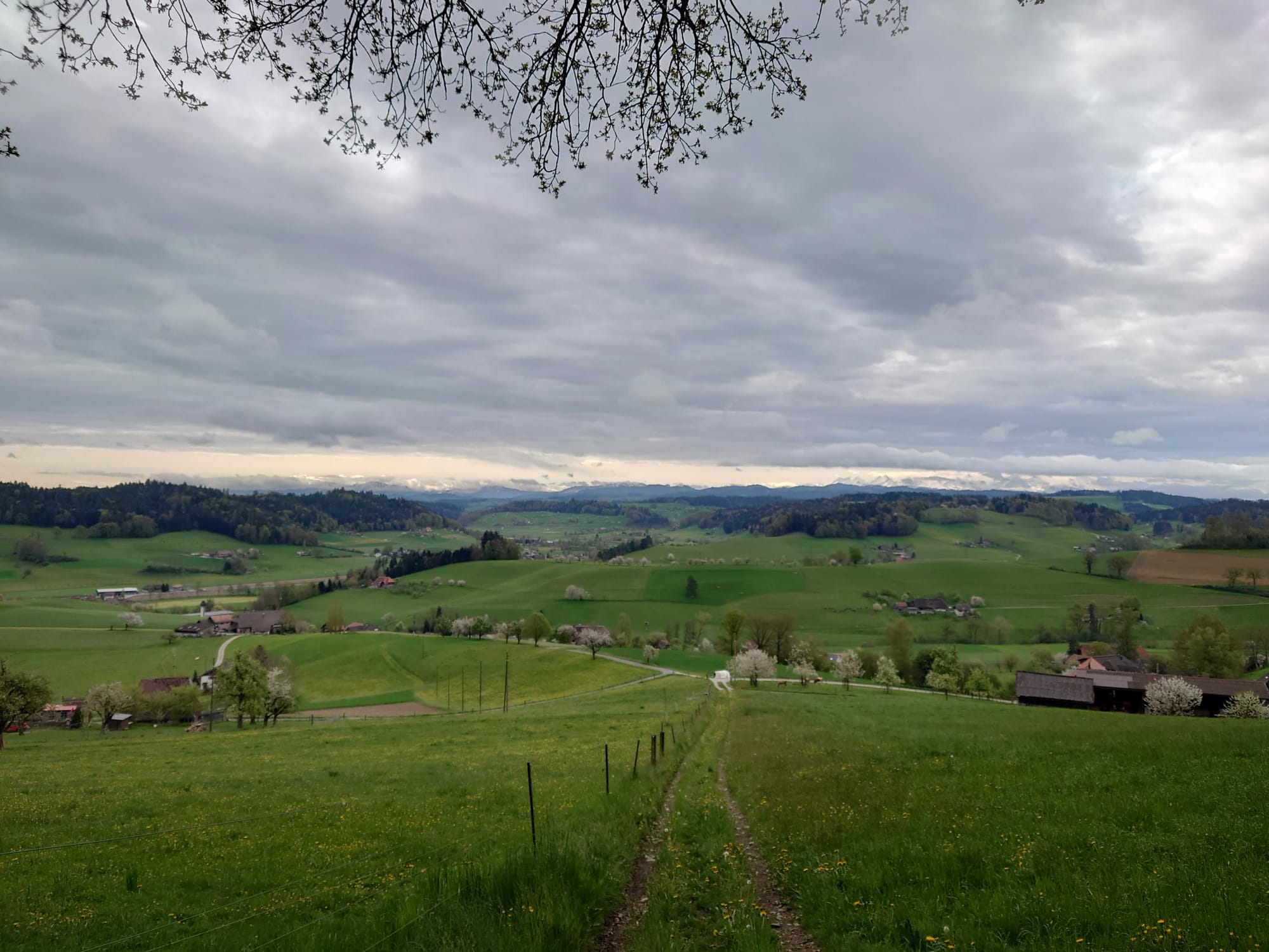 MTB-Tour  Rütschelen, Weinstegen, Madiswil  21.04.2025