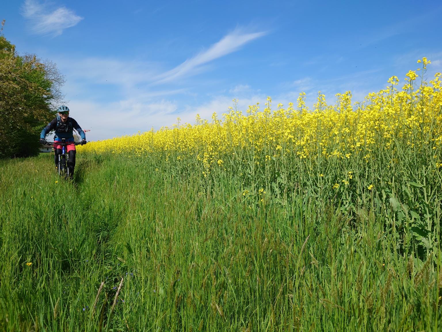 MTB-Tour  Ochlenberg, Steinhof, Burgäschisee, Inkwilersee  27.04.2025