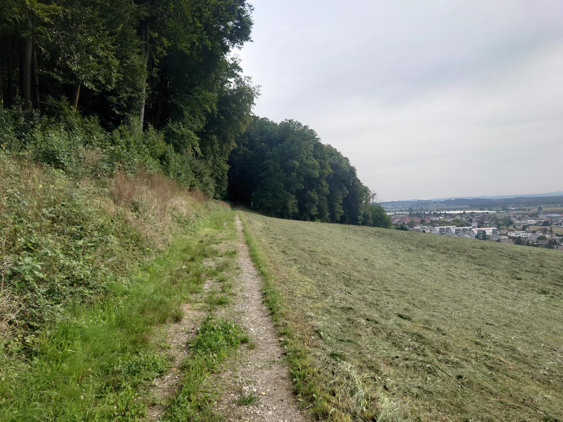 MTB-Tour  Wiedlisbach, Oberbipp, Niederbipp  06.08.2025