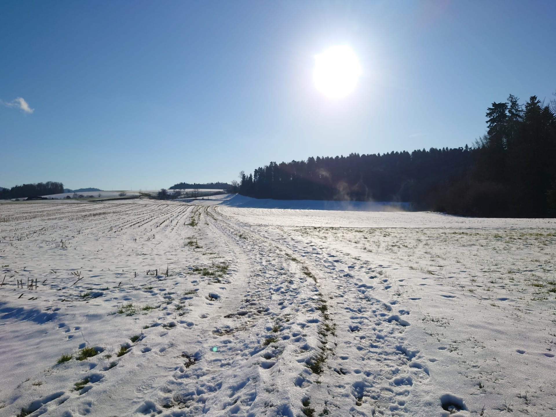 MTB-Tour  Dorneggguetsch, Weinstegen  15.01.2026