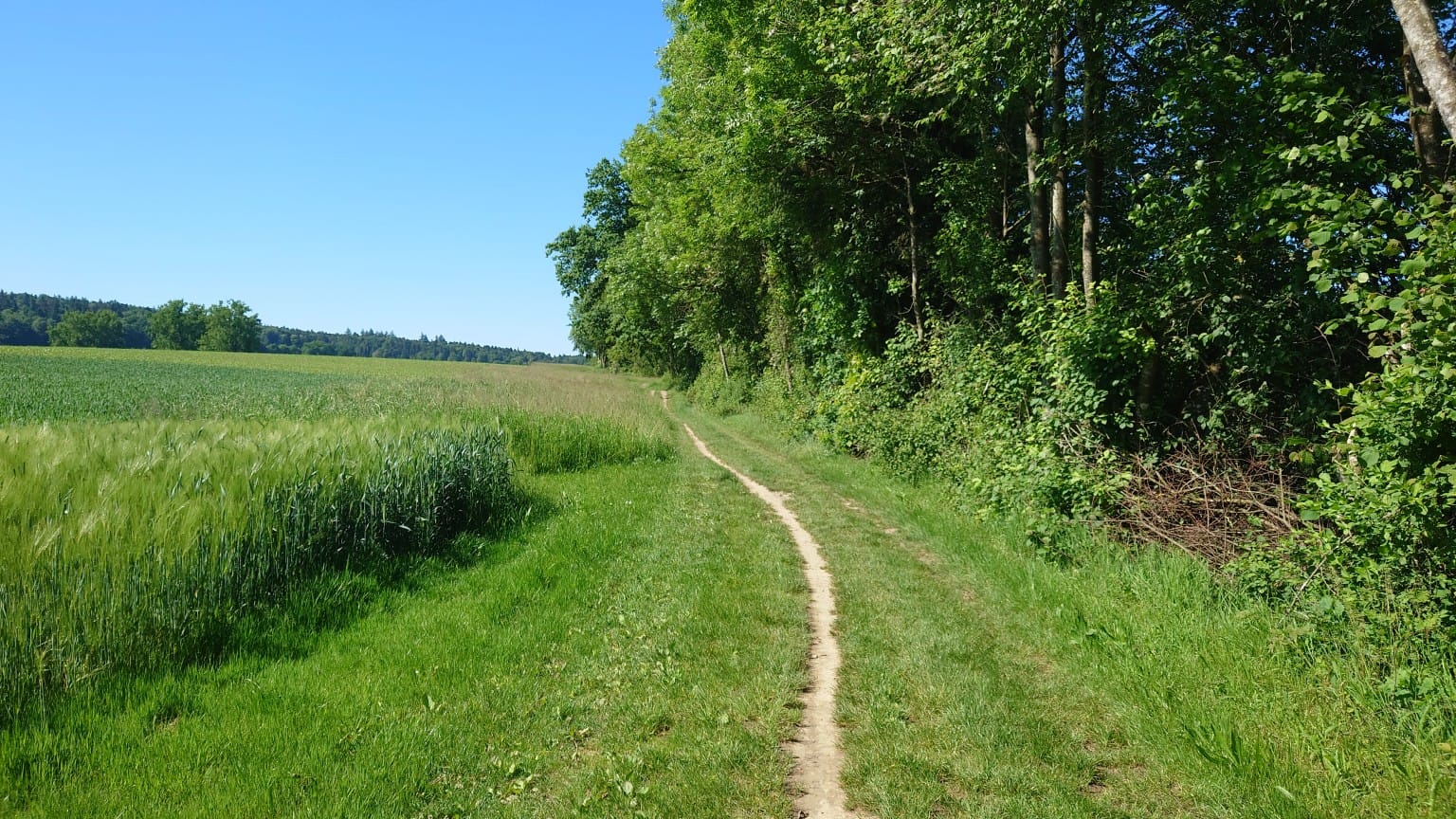 MTB-Tour  Wynau, Roggwil, Wynau  22.05.2026