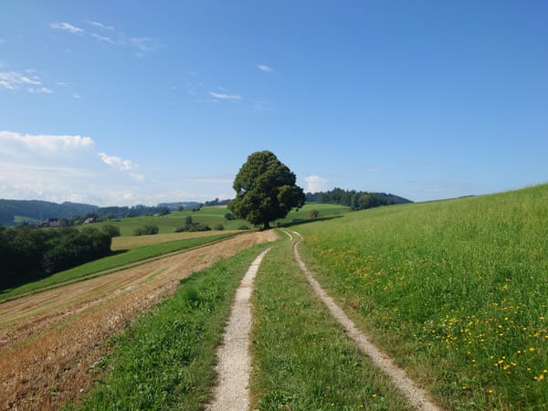 MTB-Tour  Wäckerschwend  02.08.2024