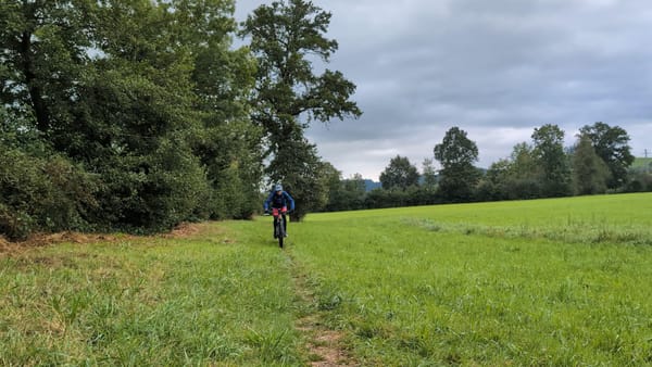 MTB-Tour  Rütschelen Dornegggütsch Weinstegen Lindenholz  13.09.2024