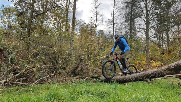 MTB-Tour  Wynau, St.Urban  24.10.2024