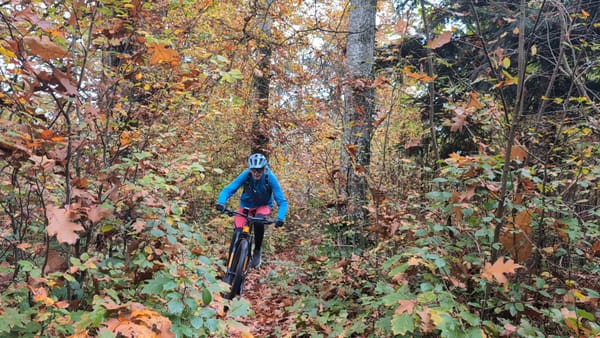 MTB-Tour  Lotzwil, Roggwil, Murgenthal, Graben  26.10.2024