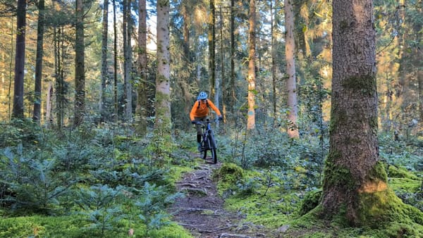 MTB-Tour  Dornegggütsch Weinstegen  28.10.2024