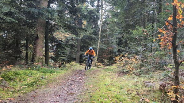 MTB-Tour  Wiedlisbach, Oberbipp, Niederbipp  07.011.2024