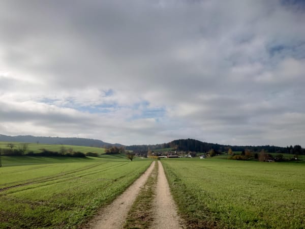 MTB-Tour  Rütschelen, Lotzwil, Roggwil  14.11.2024