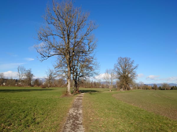 MTB-Tour  Lotzwil, Obersteckholz, St.Urban, Roggwil  29.01.2025