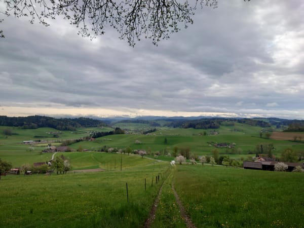 MTB-Tour  Rütschelen, Weinstegen, Madiswil  21.04.2025
