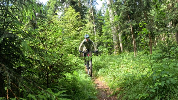 MTB-Tour  Lotzwil, Roggwil  29.05.2025