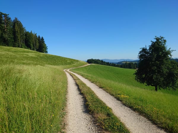 MTB-Tour  Altbüron, Melchnau  28.06.2025