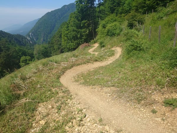 MTB-Tour  Schwängimatt, Schmidematt, Balmberg, Weissenstein  12.06.2025
