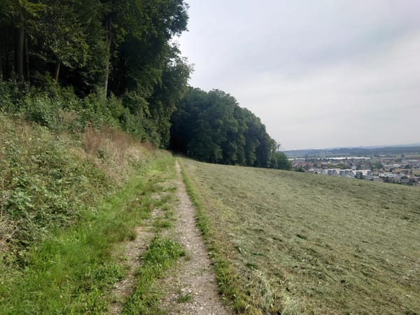 MTB-Tour  Wiedlisbach, Oberbipp, Niederbipp  06.08.2025