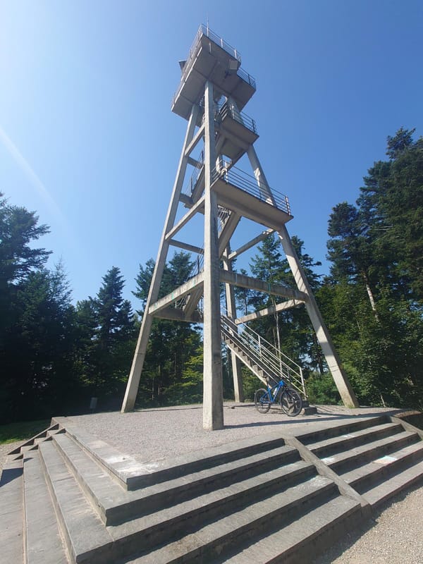 MTB-Tour  Dornegggütsch, Hohwacht  11.08.2025