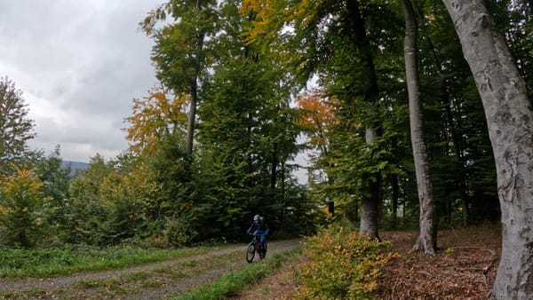 MTB-Tour  Altbüron, Melchnau  16.10.2025