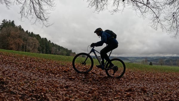 MTB-Tour  Dorneggguetsch, Weinstegen  01.12.2025