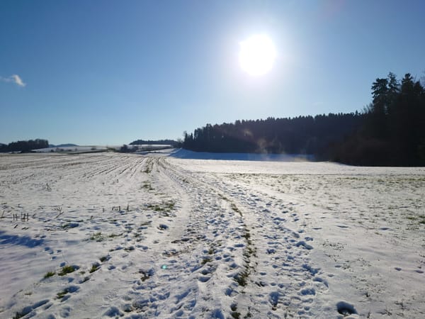 MTB-Tour  Dorneggguetsch, Weinstegen  15.01.2026
