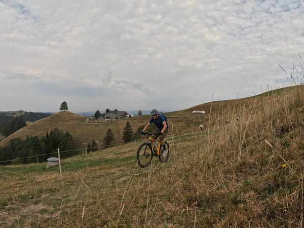 MTB-Tour  Ahorn, Brestenegg  25.07.2026
